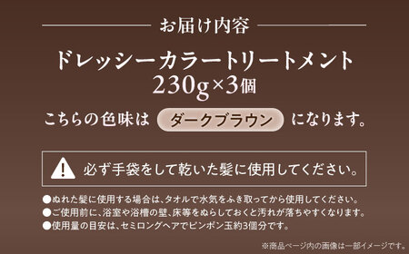 ダリヤ サロンドプロ ドレッシーカラートリートメント 3個セット【ダークブラウン】 / 稲沢市 / 日興商事株式会社 [BMBK002-02]