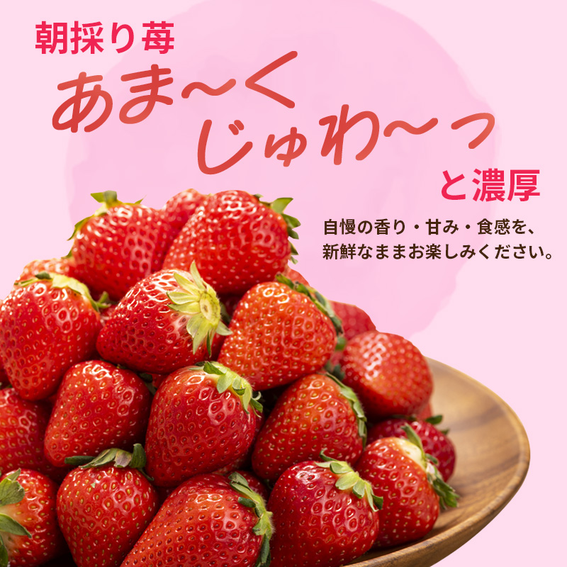 奈良県産古都華2パックセット