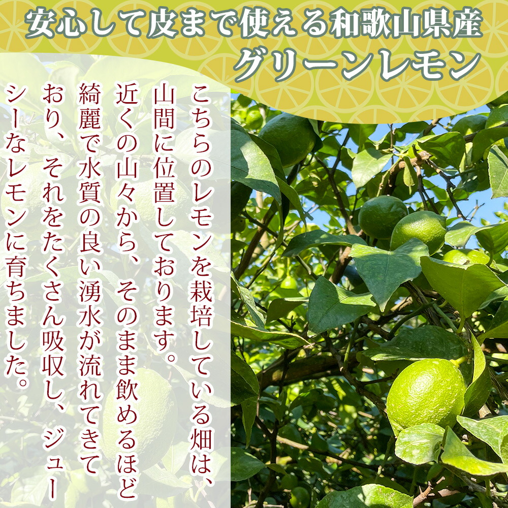 EA6042n_綺麗な湧き水で育てた グリーンレモン 2kg (大小混合)