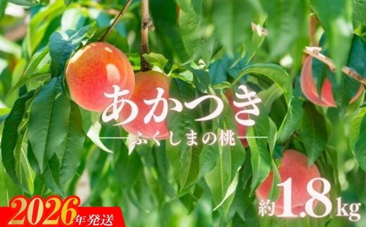 No.2885もも「あかつき」約1.8kg【2026年発送　先行予約】