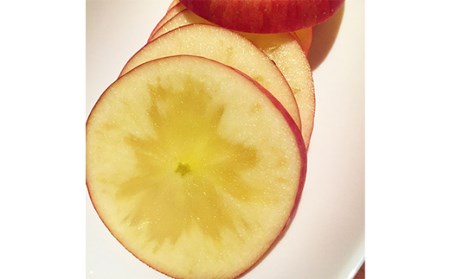 《令和6年産先行受付》山形県中山町産蜜入りんご高徳・こうとく【秀品】約3kg リンゴ 林檎 山形県産 フルーツ 果物 くだもの F4A-0315