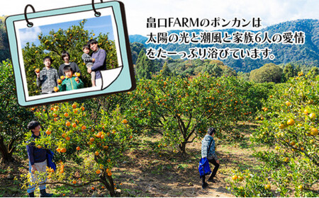 【先行予約】訳ありポンカン ＜10kg＞ サイズ混合　HT20 [H-08] 【畠口FARM（畠口　佳養）】