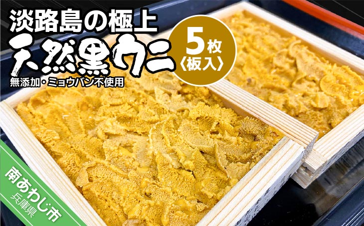 ★予約受付★【花光】淡路島の極上ウニ！天然黒ウニ（板入５枚）【無添加・ミョウバン不使用・期間/数量限定】◆３月中旬以降発送開始