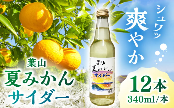 
葉山夏みかんサイダー（12本入り） ／ ジュース 炭酸 ミカン 神奈川県 特産品【リカーズかさはら】 [ASBB001]
