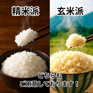 令和7年産新米 キヌヒカリ 5kg (玄米) 明田のお米