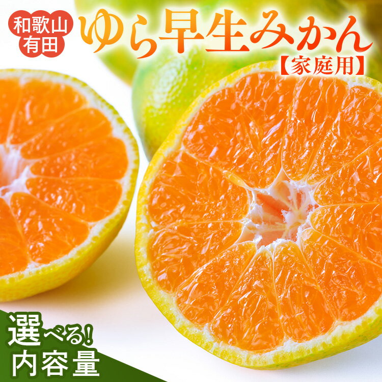 【ふるさと納税】選べる内容量 サイズ【ご家庭用 極早生】和歌山 有田ゆら早生みかん 約5kg/約10kg(SS、S、M、Lサイズ)【美浜町】｜柑橘 みかん 蜜柑 フルーツ 果物 産地直送 先行予約※北海道・沖縄・離島への配送不可※2025年10月下旬～11月下旬頃に順次発送予定