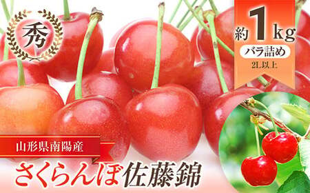 【令和7年産先行予約】 さくらんぼ 「佐藤錦」 約1kg (秀 2L以上) バラ詰め 《令和7年6月上旬～発送》 『生産者おまかせ』 サクランボ 果物 フルーツ 産地直送 山形県 南陽市 [883]