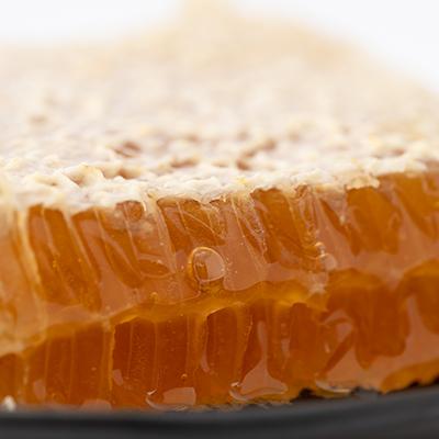 ふるさと納税 瑞浪市 純粋ハチミツ(ソヨゴ1000g×1) |  | 03