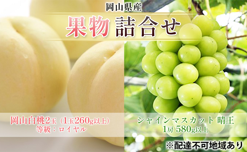 ぶどう 2025年 先行予約 果物 詰合せ 岡山 白桃 2玉 等級：ロイヤル（1玉260g以上） シャイン マスカット 晴王 1房 580g以上 もも 葡萄 岡山県産 国産 フルーツ 果物 ギフト