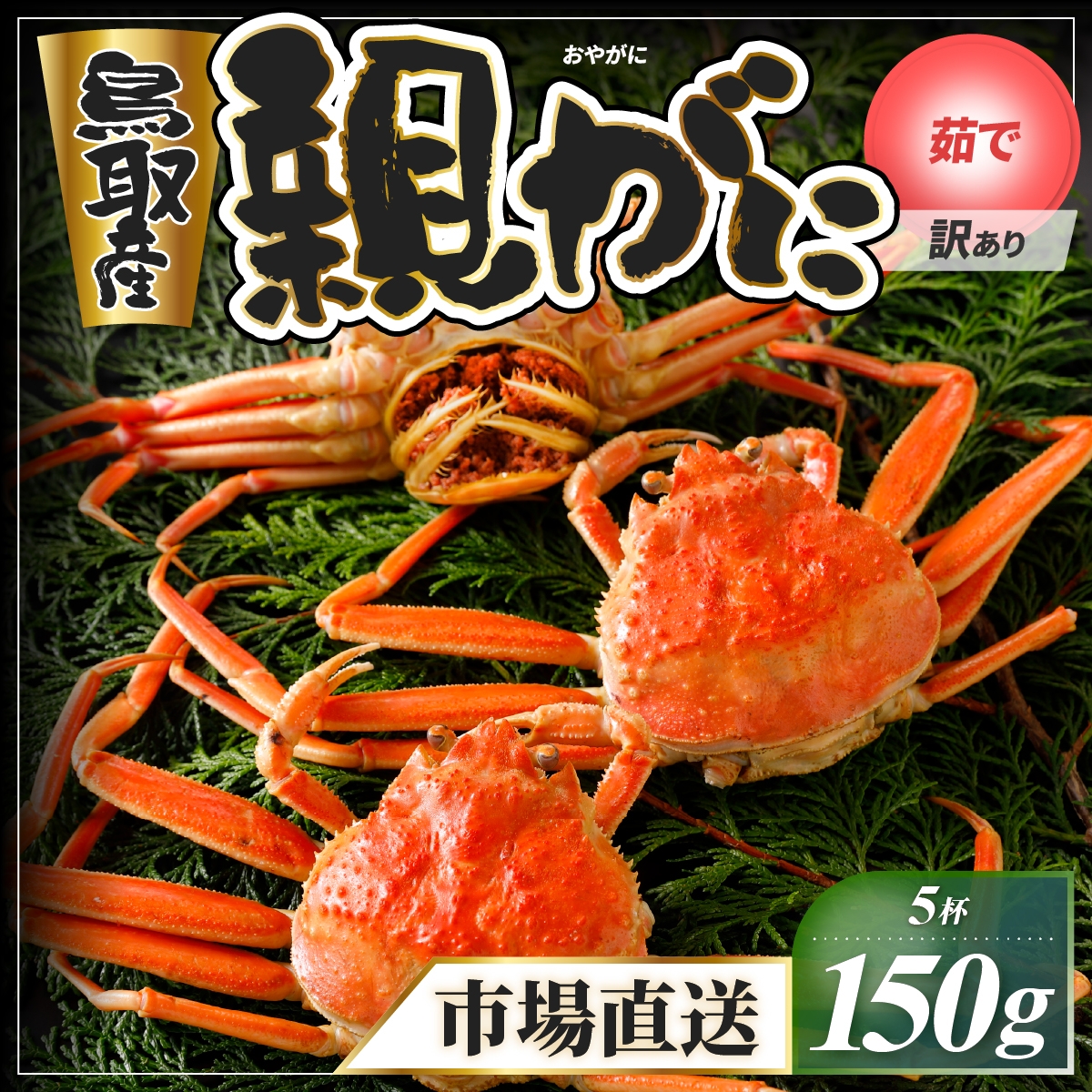 
                  【ボイル】訳あり親ガニ(セコガニ) 150g　5杯
                