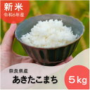 【ふるさと納税】【令和6年産 新米】奈良県産 あきたこまち 精米 5kg【1454618】