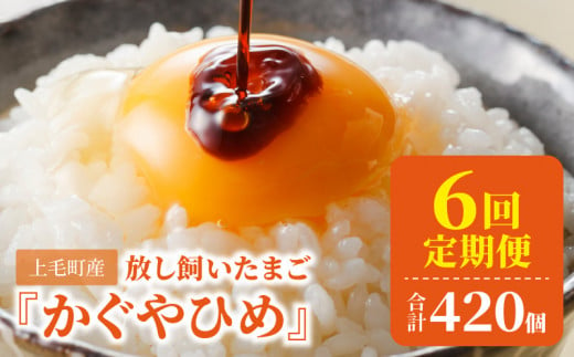 【定期便】放し飼い「かぐやひめ」70個　6回（毎月）コース 06T-004