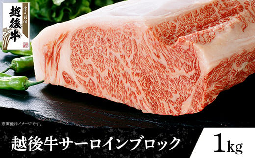 
63-42A新潟県産 越後牛サーロインブロック1kg
