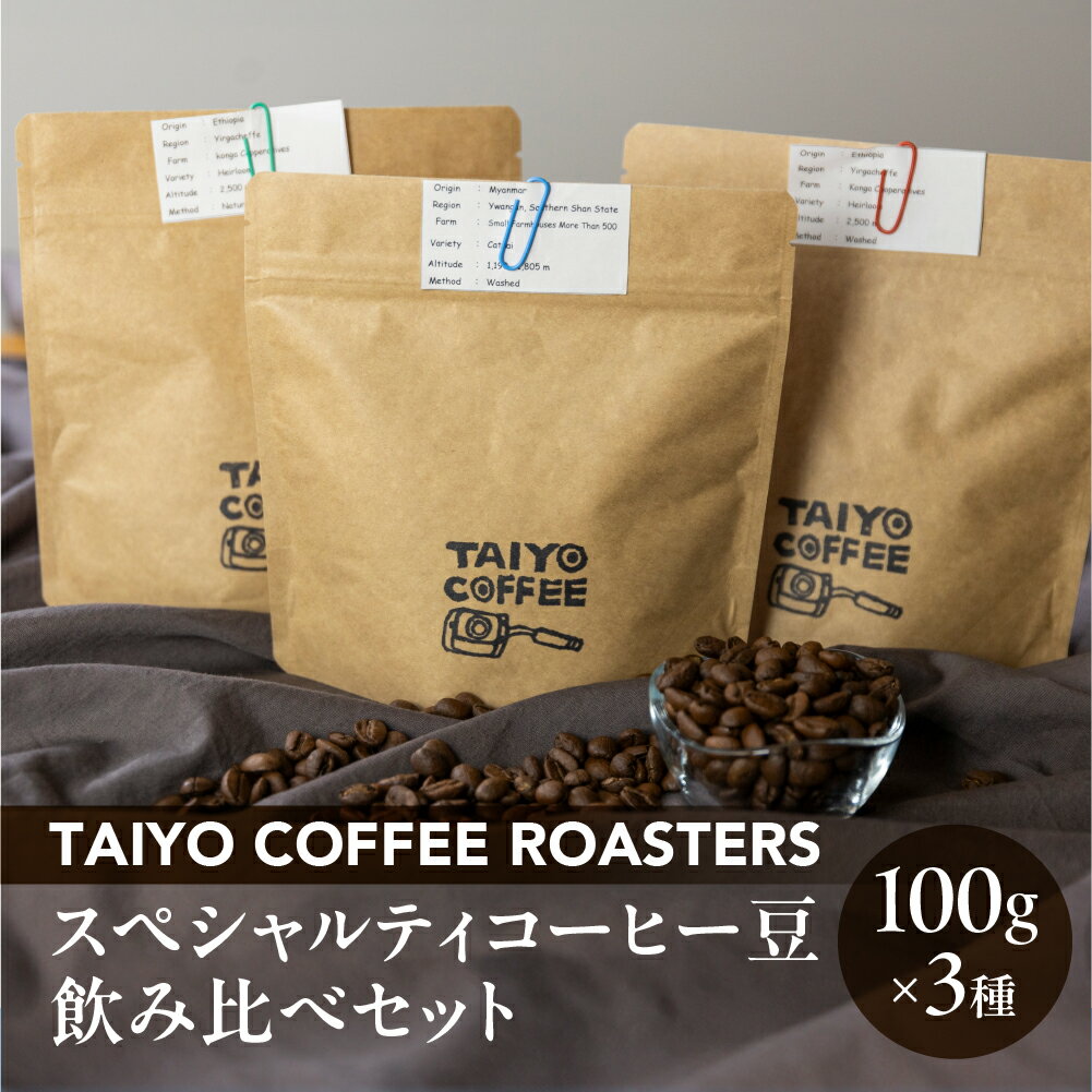 【ふるさと納税】スペシャルティコーヒー豆 100g×3種 飲み比べセット【TAIYO COFFEE ROASTERS】ミャンマー エチオピア 珈琲 コーヒー コーヒー豆 飲み比べ スペシャルティ スペシャリティ 下呂市 14000円
