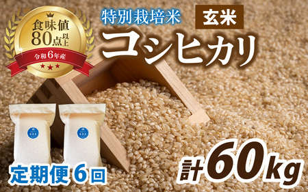 【6ヶ月連続お届け】【令和7年産新米】南条米 特別栽培米コシヒカリ 真空パック 玄米 10kg(5kg×2袋)×6ヶ月 (計60kg) 福井 甘味