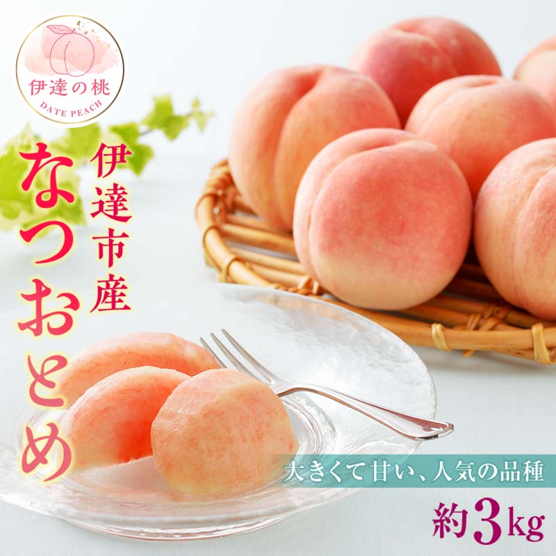 【ふるさと納税】＼選べる配送方法／【2026年出荷分先行予約】福島県産 なつおとめ 約3kg (9～16玉) 常温・冷蔵で配送が選べる 有限会社伊達水蜜園 新品種 大玉 伊達の桃 桃 フルーツ 果物 もも モモ momo F20C-349var