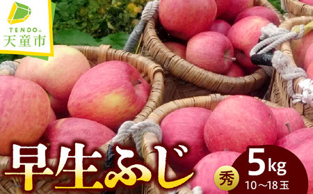 りんご ( 早生ふじ ) 約 5kg フルーツ 果物 山形 08-05-013