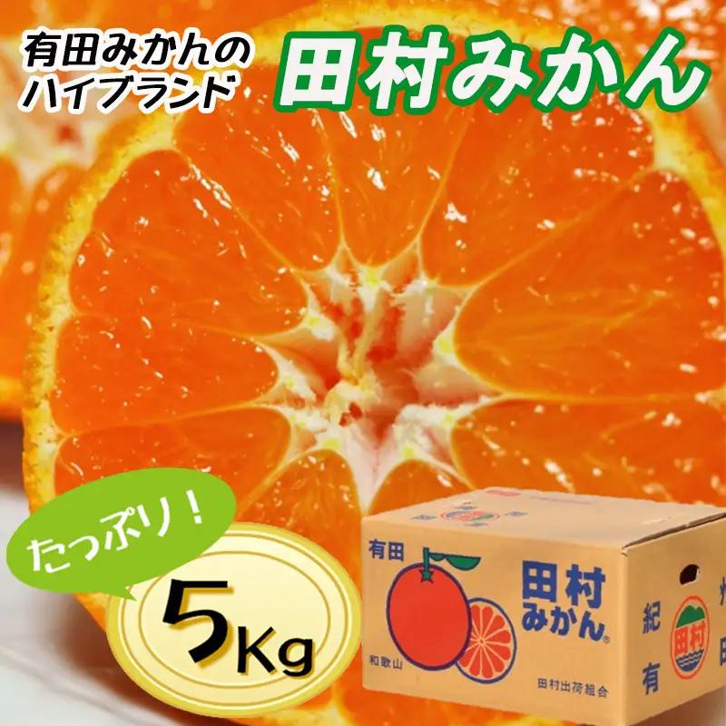 【12月発送】【先行予約】【秀品】田村みかん 和歌山有田 約5kg