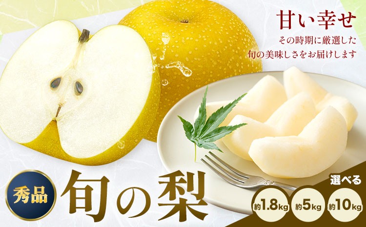 
            【2026年先行予約】おまかせ梨 秀品 選べる内容量 約1.8kg 約5kg 約10kg 日本フルーツ《8月上旬-10月上旬頃出荷》熊本県 長洲町 なし 梨 果物 フルーツ デザート ギフト ご贈答
          