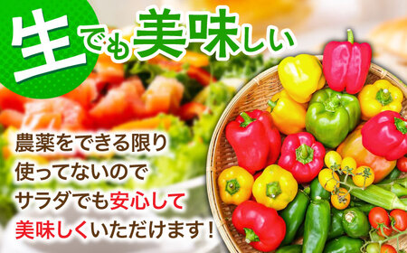 【全6回定期便】農家セレクト！特別栽培 日田の厳選食材 詰め合わせ 日田市 / 自然工房Mori 野菜 果物 米 産地直送 新鮮 セット[ARBR003]