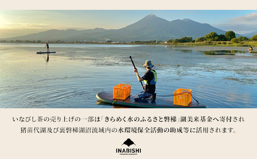 【定期便6回】お茶 猪苗代湖産ひし茶(お徳用) ティーバッグ 茶 福島 | 美容 健康 美肌 ポリフェノール 抗酸化作用 ビタミン 人気 福島県 猪苗代