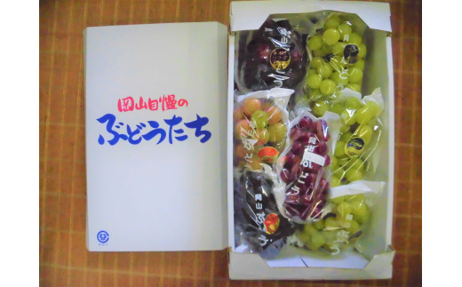 【2026年発送】 シャインマスカット & 旬のぶどう ビッグセット フルーツ 果物 | 4.0kg | 送料無料 産地直送