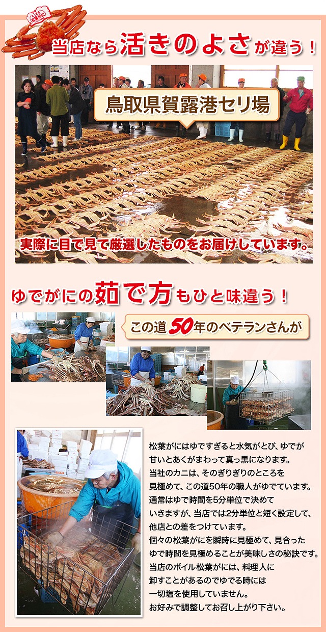 85．【先行予約】鳥取県産　タグ付き浜茹で松葉がに　800g以上×1枚
