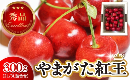 【2027年産 先行受付】 さくらんぼ やまがた紅王 秀品 約300g 2L・3L 詰め合わせ 山形県 東根市 ベジフルひがしね hi104-020-r9 サクランボ フルーツ くだもの 果物 期間限定 先行受付 ご当地 特産 産地 直送 人気