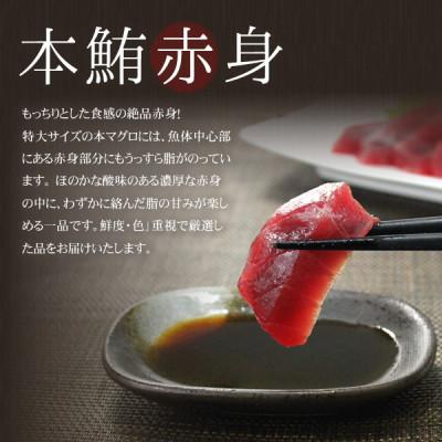 ふるさと納税 いわき市 【毎月定期便】本マグロ赤身 真空包装 [約300g(2〜3サク)]全6回 |  | 03