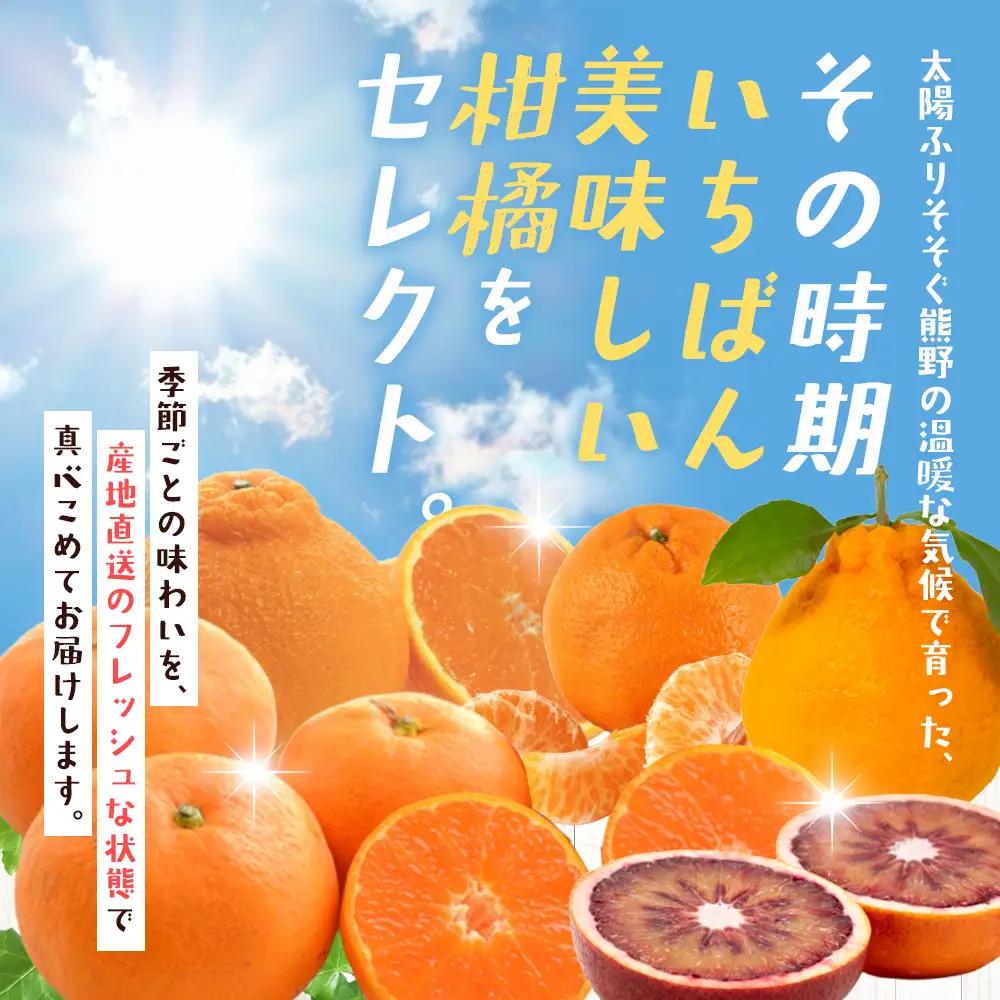 みかん 柑橘詰合せ 約3.5㎏ みかん【szjk0003】