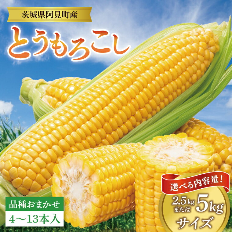 【ふるさと納税】【先行予約 6月中旬から順次配送】【選べる】とうもろこし　4本～6本入り（約2.5kg）・9本～13本入り（約5kg）【野菜 やさい 甘い トウモロコシ 新鮮 玉蜀黍 茨城県 阿見町産】(76-05)