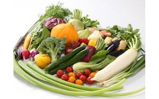 定期便 4回 野菜 おまかせ セット 10 ? 14種 春夏秋冬 なばな 新玉ねぎ そら豆 スナップえんどう 春キャベツ フルーツトマト じゃが芋 みょうが ズッキーニ オクラ かぼちゃ すじなし豆 