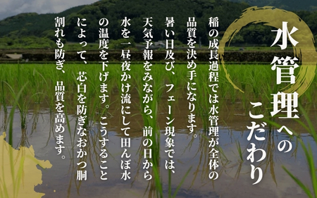 【令和7年産新米】【お米ソムリエのお米】いのちの壱 精米 (2㎏×1袋) 新潟県 五泉市 エバーグリーン農場│いのちの壱 いのちの壱 いのちの壱 いのちの壱
