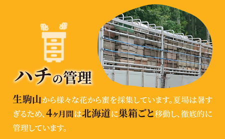 生駒で採れたはちみつ「ヘアリーベッチ」 500g 花の香りを楽しむ 生駒で採れた 生はちみつ ヘアリーベッチ はちみつ 生駒産 純粋はちみつ 1本 500g 非加熱 非調合 軽やか 味わい 上品 吉岡