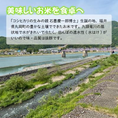 ふるさと納税 坂井市 おおかわさんちの華越前 玄米 30kg [F-10804] |  | 03