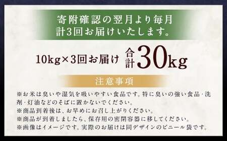 【3ヶ月定期便】らんこし米(ななつぼし)10kg×3回 計30kg お米 米 ななつぼし 精米