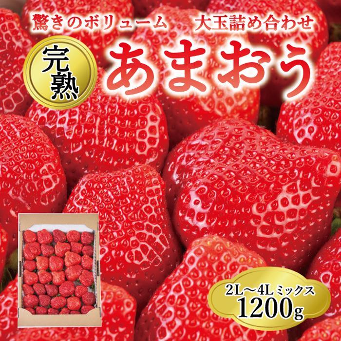 【ふるさと納税】【2026年1月～4月出荷分予約販売】★開けてびっくり★驚きのボリューム完熟あまおう大玉詰め合わせ1200g | 福岡県 大川市 福岡県大川市 ふるさと 納税 食べ物 取り寄せ お取り寄せ グルメ ご当地 いちご イチゴ 苺