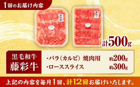 【12回定期便】くまもと黒毛和牛「藤彩牛」2種の食べ比べ計500g 3900【有限会社 スイートサプライなかぞの】[ZDT129]