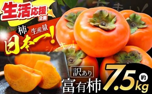 シャキッと甘い！ 訳あり 富有柿 約 7.5kg | フルーツ くだもの 果物 柿 かき カキ  奈良県 五條市 訳あり 家庭用 自宅用 どっさり たっぷり 種なし 種無し 種なし柿 産地直送 国産 人気 送料無料 グルメ お取り寄せ 大容量 ビタミン 食物繊維 豊富 秋 旬 奈良県 五條市