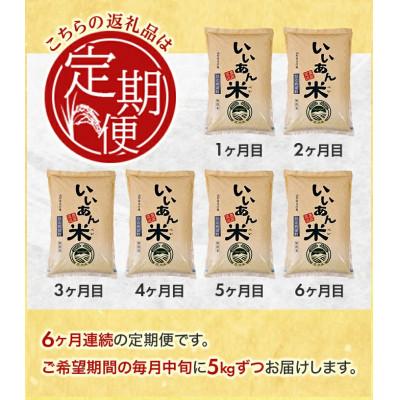 ふるさと納税 酒田市 【毎月定期便】「いいあん米」ひとめぼれ無洗米5kg全6回 |  | 01