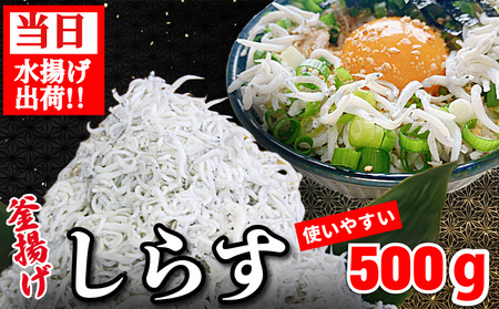しらす 釜揚げ 500g (250g × 2袋) 5月~12月中旬発送 しらす