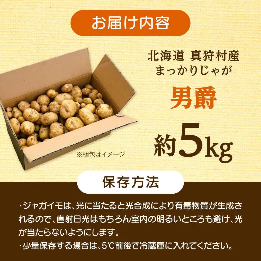 【先行予約】 じゃがいも 男爵 5kg [BPAM016] じゃがいも