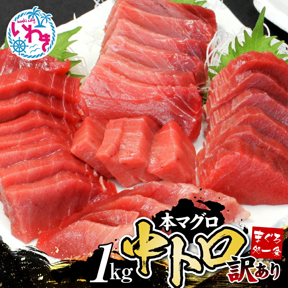 【ふるさと納税】訳あり 本マグロ 中トロ 1kg 大容量 3-6ブロック入 マグロ 不揃い 刺身 海鮮丼 寿司 約6-8人前 母の日 家庭用 ご自宅用 人気 冷凍 お祝い グルメ 鮪 不定型 柵 本鮪 漬け丼 海鮮 魚 鮮魚 海鮮 食品 まぐろ 魚介類 ネギトロ ふるさと納税魚介 まぐろ処一条