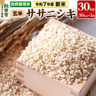 ふるさと納税 秋田市 新米 受付 令和7年産 自然栽培米 ササニシキ 玄米 30kg|15_myn-3x3001g