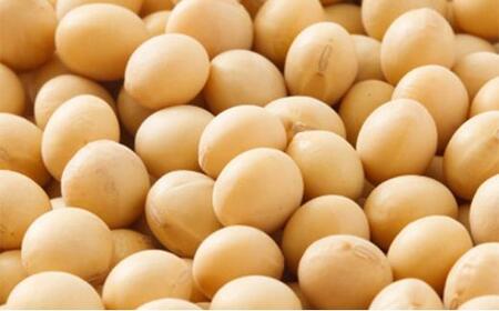 岡山テンペみそ 300g×5個 [No.5220-0620]