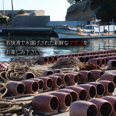 ふるさと納税 若狭町 茹で まだこ 小分け700g 真空パック入 |  | 03