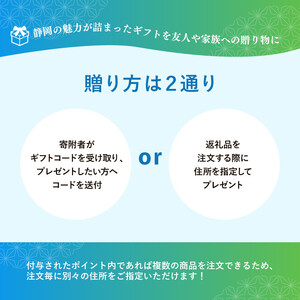 【静岡市】あとから選べるWEBカタログギフト（寄附30万円コース）90000ポイント｜寄附した後にゆっくり返礼品が選べて便利！対象返礼品続々追加中［ 静岡 カタログポイント 有効期限6か月 対象商品続