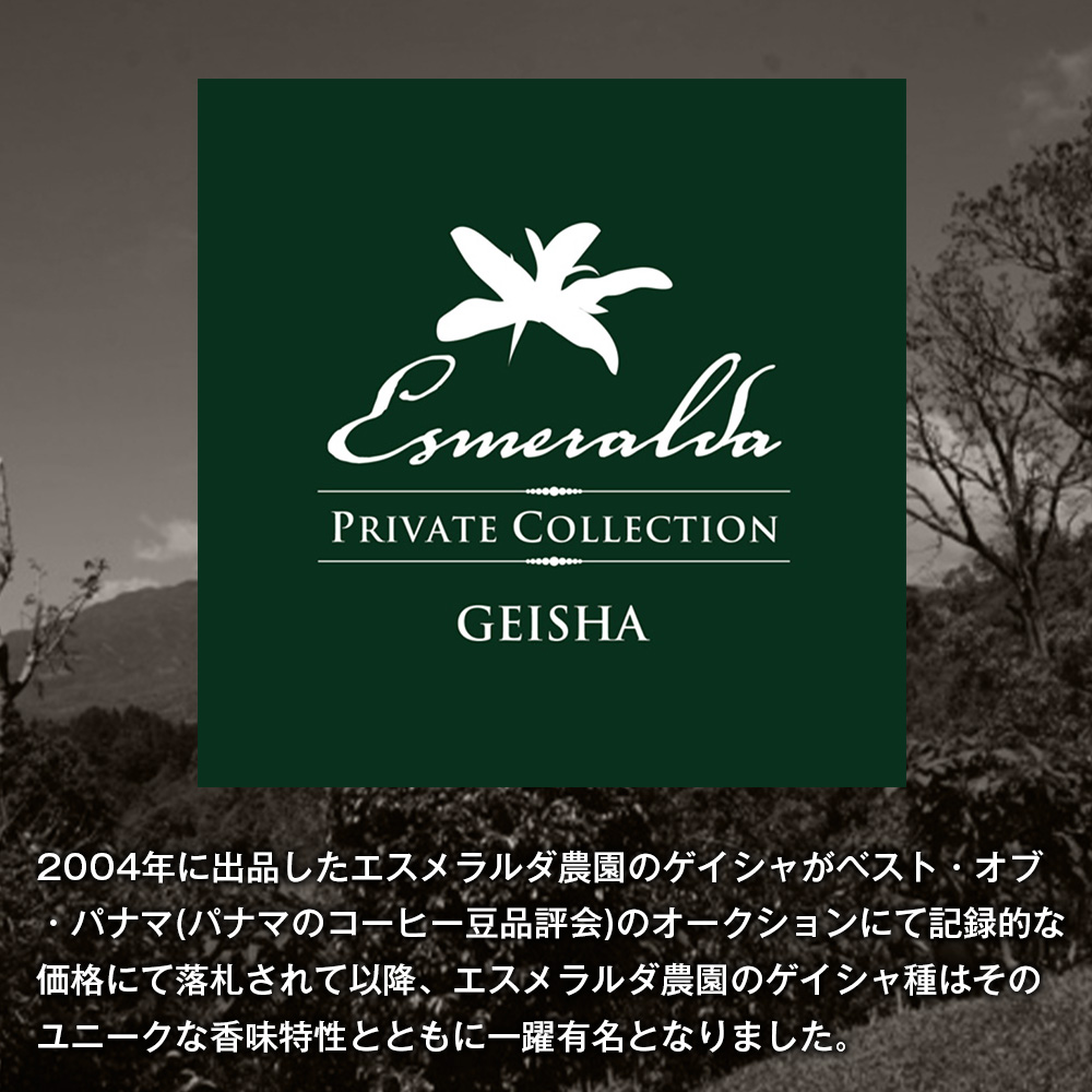 【淡路島珈琲１５７】定期便 パナマエスメラルダ ゲイシャ ナチュラル 中煎り 豆のまま 180g×2個