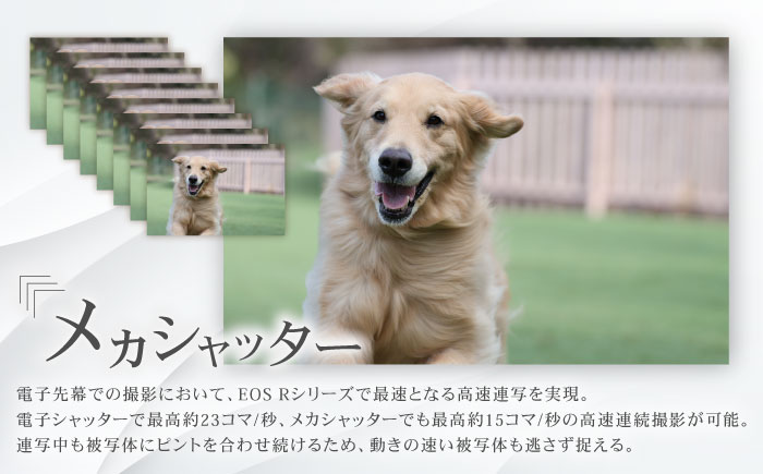 Canon EOS R10 ボディのみ ミラーレス カメラ キヤノン ミラーレス 一眼 コンパクト【長崎キヤノン】 [MA15]