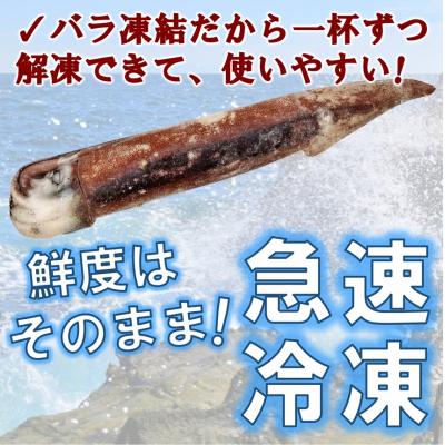 ふるさと納税 普代村 三陸水産 冷凍スルメイカ 約3kg (1kg×3袋) いか |  | 01